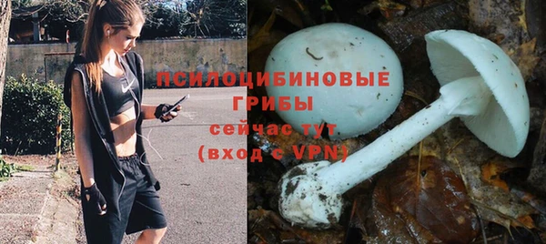 эйфоретик Арсеньев