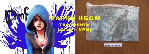 прущие грибы Балахна