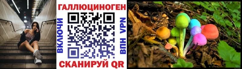 Псилоцибиновые грибы MAGIC MUSHROOMS  Полярные Зори 